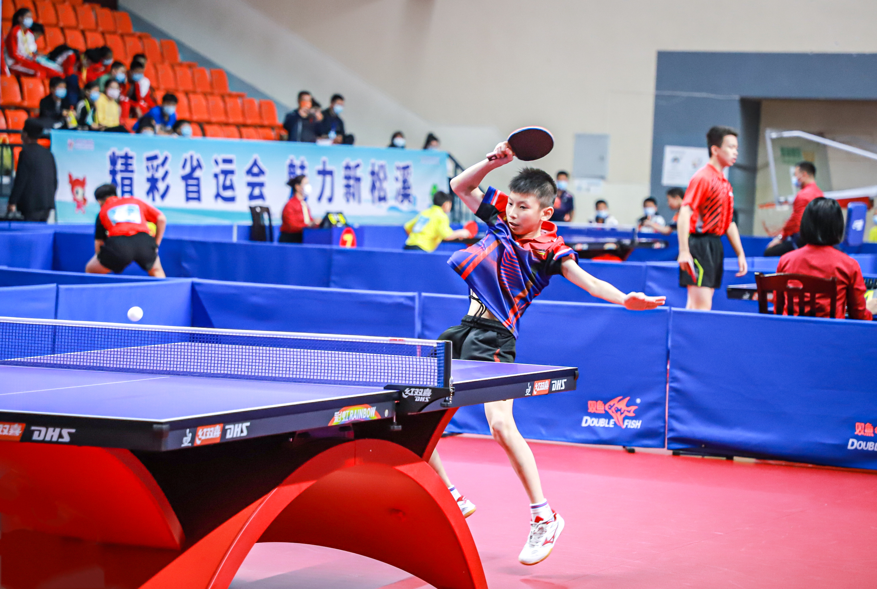 诺里斯与皮 诺里斯与皮