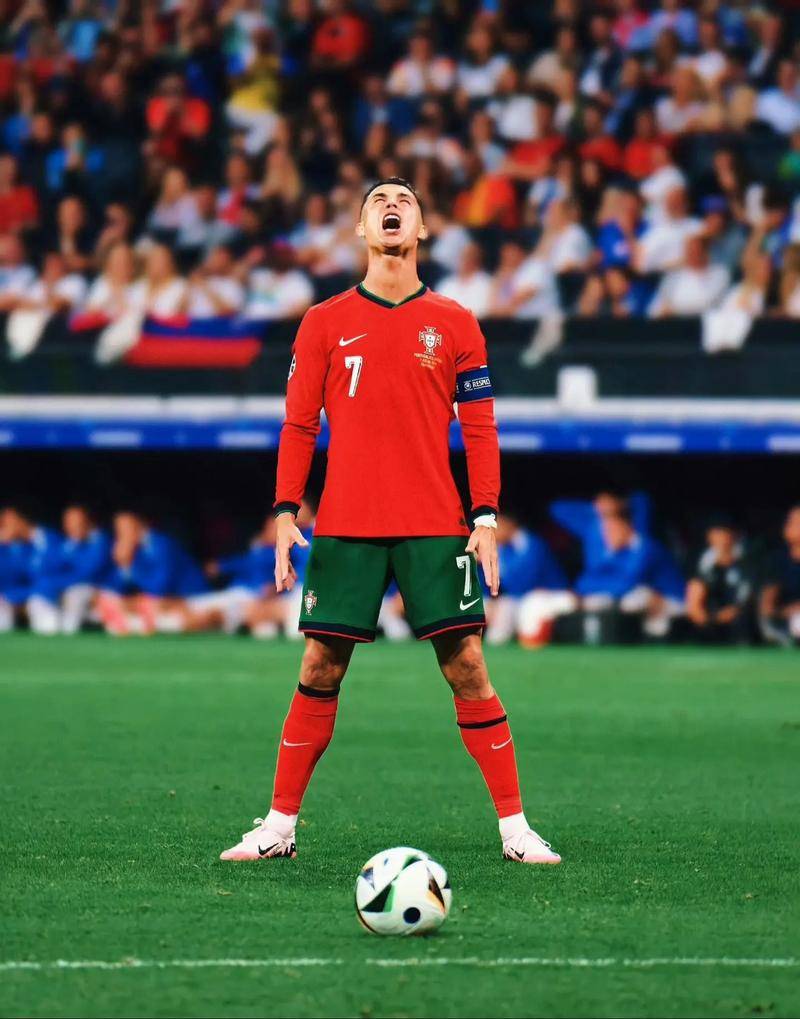 全球的顶尖 全球的顶尖