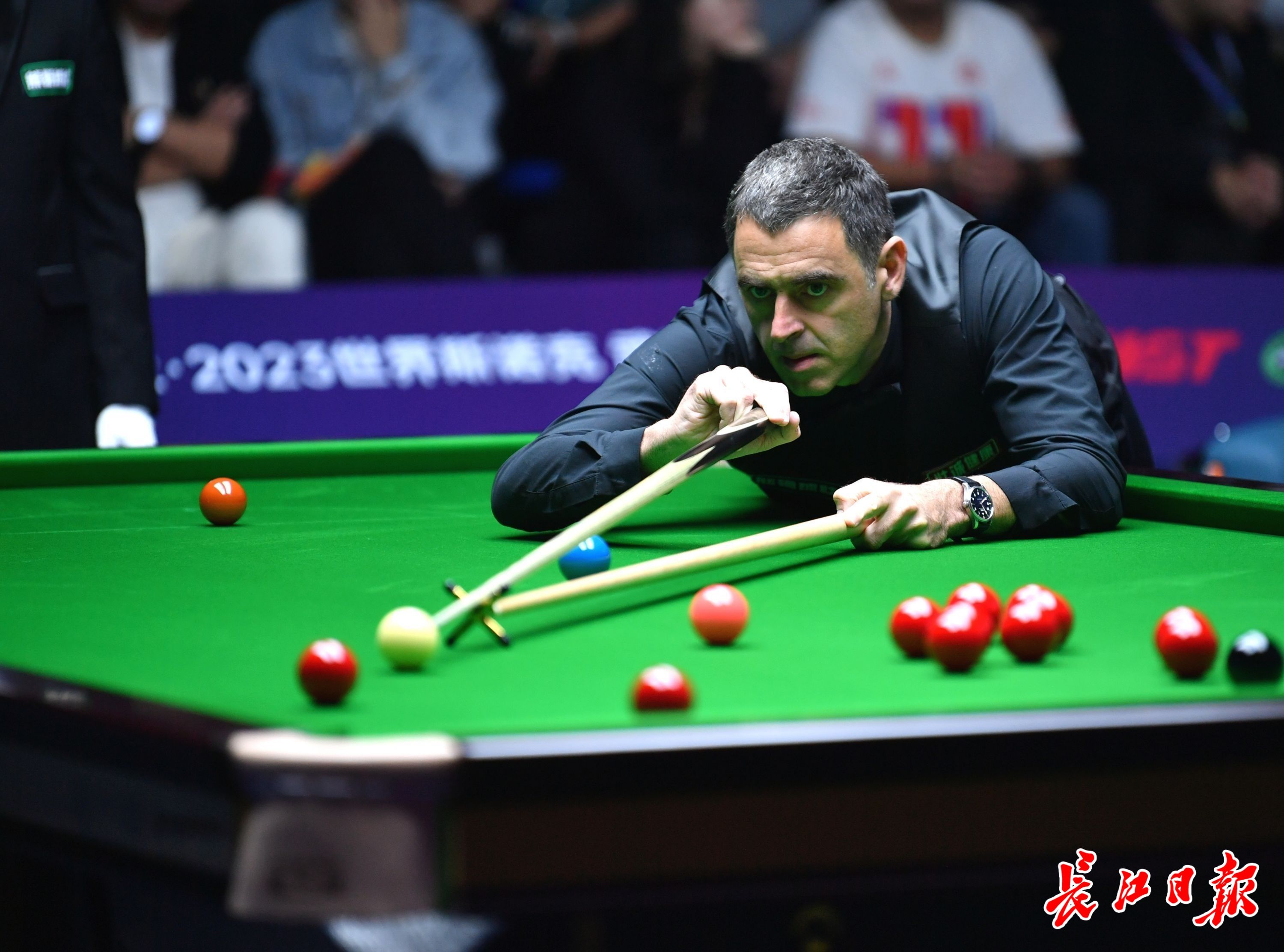 的收视率 的收视率